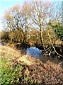 River Stour & Hoo Brook in DY11 7AU