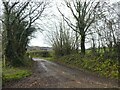 Road to Hele Wood Farm in EX16 7PB