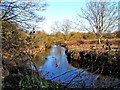 River Stour near pipe bridge in DY11 7AU