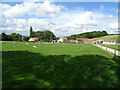 Sheep grazing, Losky Farm in YO62 5YE