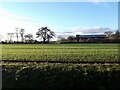 Barn and fields at Knedlington in DN14 7SD