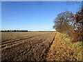 Stubble field near Warren Houses in Temple Bruer with Temple High Grange