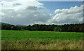 Crop field towards woodland, Invereighty in DD8 1XL