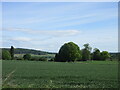 Fields and woodland at Kincaldrum in DD8 1XN