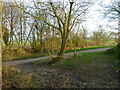 Footpath from Rickling Hall reaches Brixton Lane in CB11 3YQ