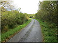 Minor road beside Loch Leathan heading towards Fearnoch in PA31 8RL