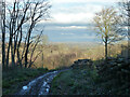 View from top of Rounden Wood in TN19 7DW