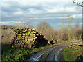 Timber stacks, Rounden Wood in TN19 7DW
