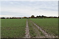 Footpath crossing field in BR8 8TB