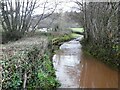 Doniford Stream overspills the lane near Leigh Cottage in TA4 4BL
