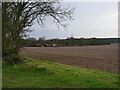 View across field to dwellings in NR28 9SR