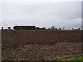 Freshly ploughed field in NR28 9SR