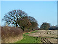 Public footpath to East Hanningfield in CM2 7TB