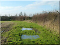 Soggy footpath to Southend Road in CM2 7TD