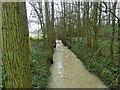 Stream above ford on Sporhams Lane in CM3 4ER