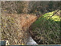Stream seen from road bridge in NR28 9NU
