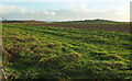 Field by Butterfly Lane in TQ14 0HB