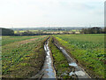 Farm track near New Lodge Farm in CM3 4AY