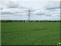 Cereal crop and power lines in YO61 3ES