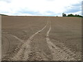 Tracks in hillside field near Highthorne Farm in YO61 4PY