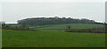 Fields south of Upton Wood in BA4 6AX