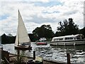 Horning Ferry - River Bure in NR12 8PP