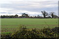 Arable field by Mill Lane in IP28 6LP
