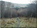 Redhills Community Woodland in G66 7EG
