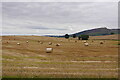 Round bales, Auchterarder in PH3 1DY