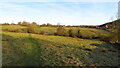 On field path SW of Kirksteads near Butterton in ST13 7ST