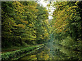 Canal south-west of Lapley in Staffordshire in ST19 9QX