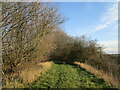 Footpath to Barnby in the Willows in NG24 3ND