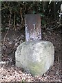 Old Boundary Markers near Frith Common in WR15 8JR