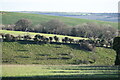 Downland above Chalk Pyt Farm in SP5 5ET
