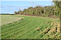 Field edge beside bridleway above Chalk Pyt Farm in SP5 5ET