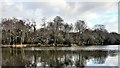 View across Furnace Pond in RH13 6PA