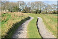 Grassy track towards Fovant Down in SP3 5JE