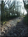 Rocky path above Ellick House in BS40 7TY