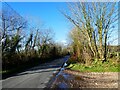 Minor road to Thorncombe in TA20 4PY