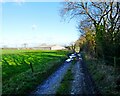 Farm track, next to 'The Change' wood in TA20 4PY