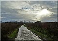 Hodsock Lane on Christmas Eve 2020 in Hodsock