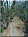 Flooded stream or drain near Hodsock in Hodsock