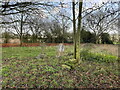 Former graveyard in Newington in OX10 7AP
