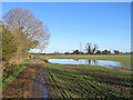 Track and standing water in CB25 0BN