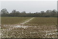 Muddy path across the muddy field to Charbridge Lane in OX26 6HH