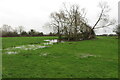 Flooded pond near Fir Tree Farm in OX25 1TG