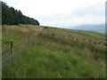 Hillside below forest on Strancleuch Hill in ML12 6ST