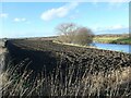 Ploughed field, south bank of the River Calder in LS26 9BP