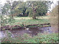 River Avon (Stirlingshire/West Lothain) in FK1 2JZ