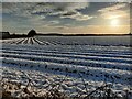 Snow covered farmland next to Waggon Lane in DY10 3NY